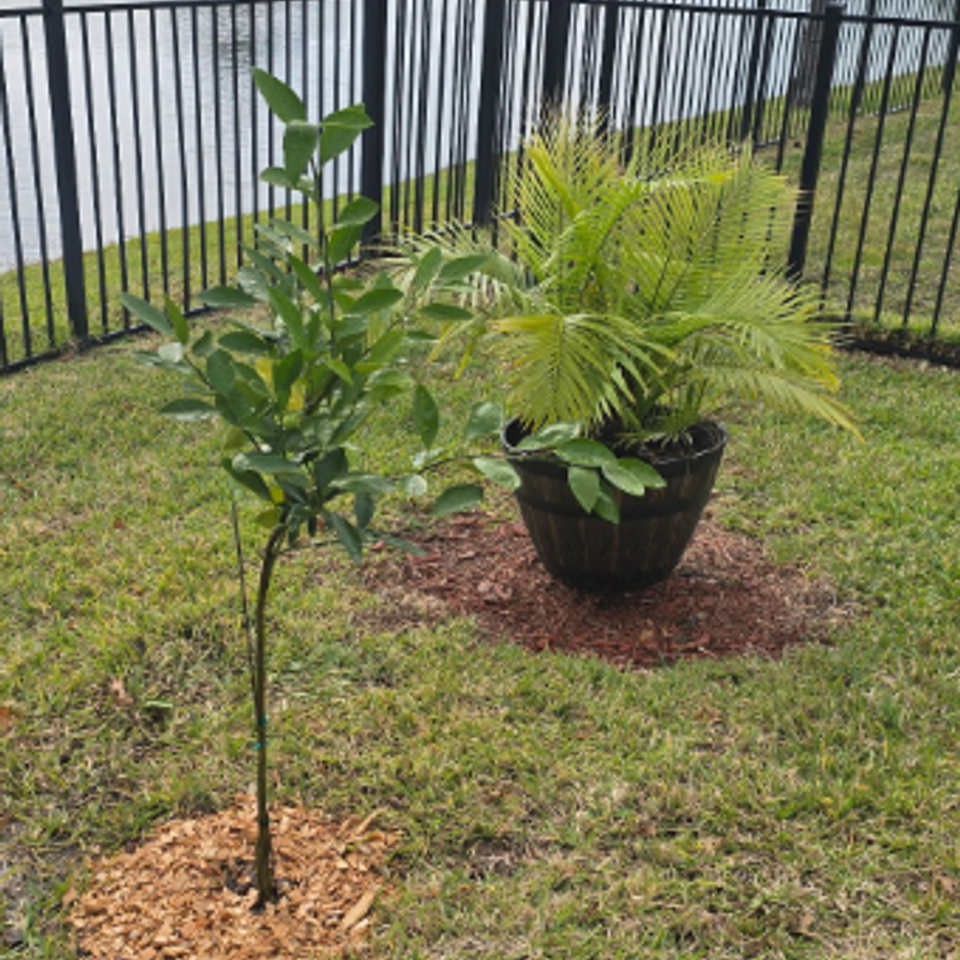 Screenshot 2025 11 21 152559