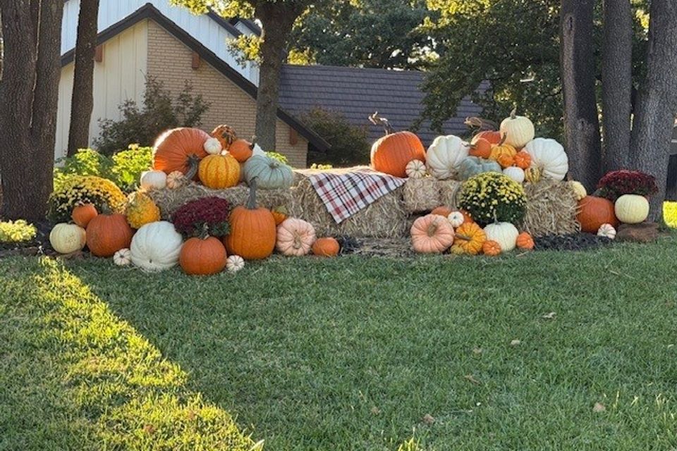 Pumpkin pic   gina t house