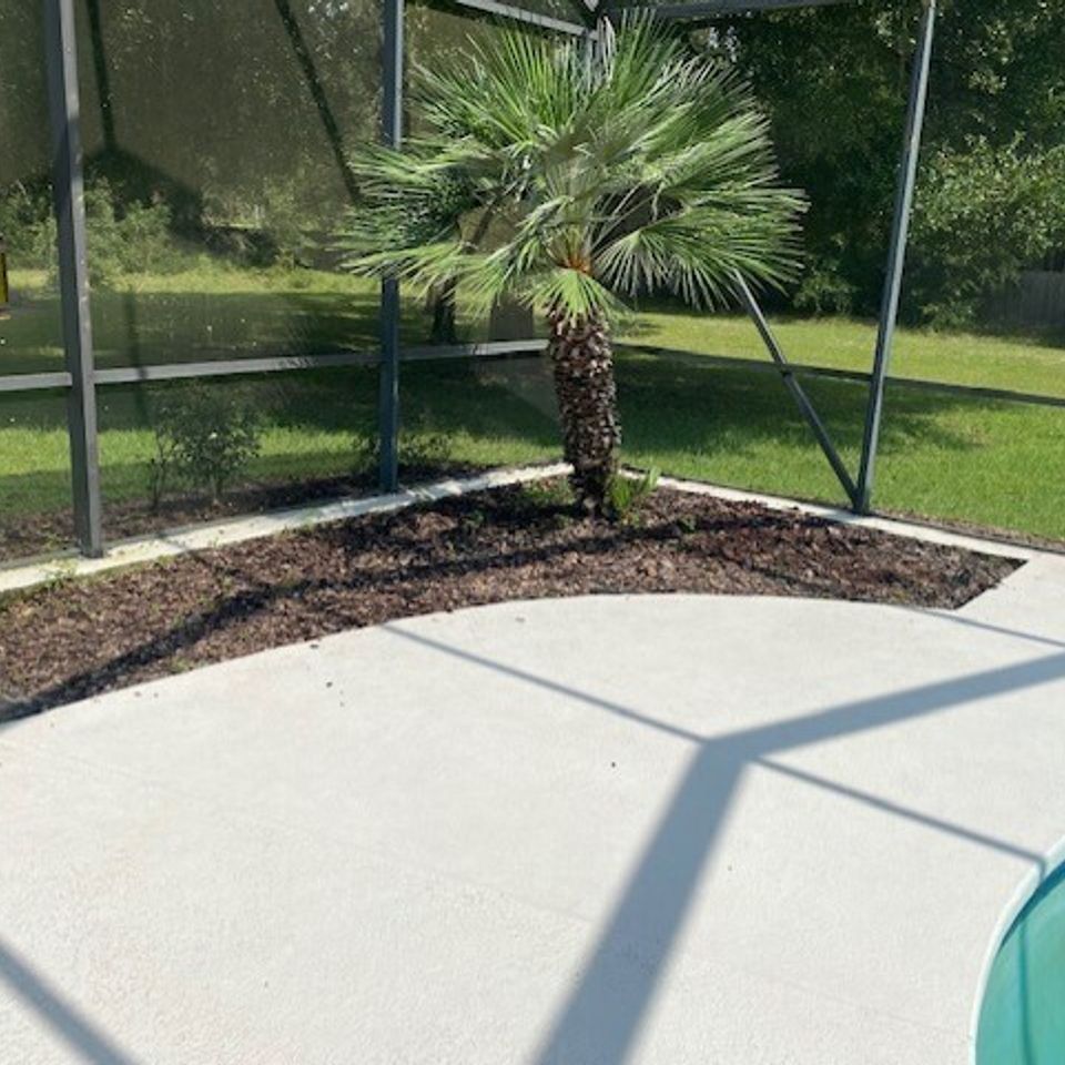 Connor pool bed before