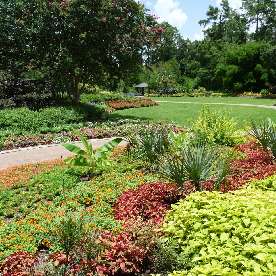 Mercer botanic gardens