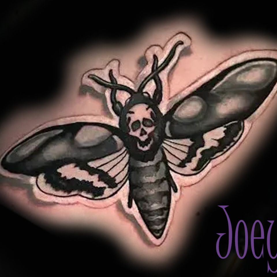 Joey dead head moth