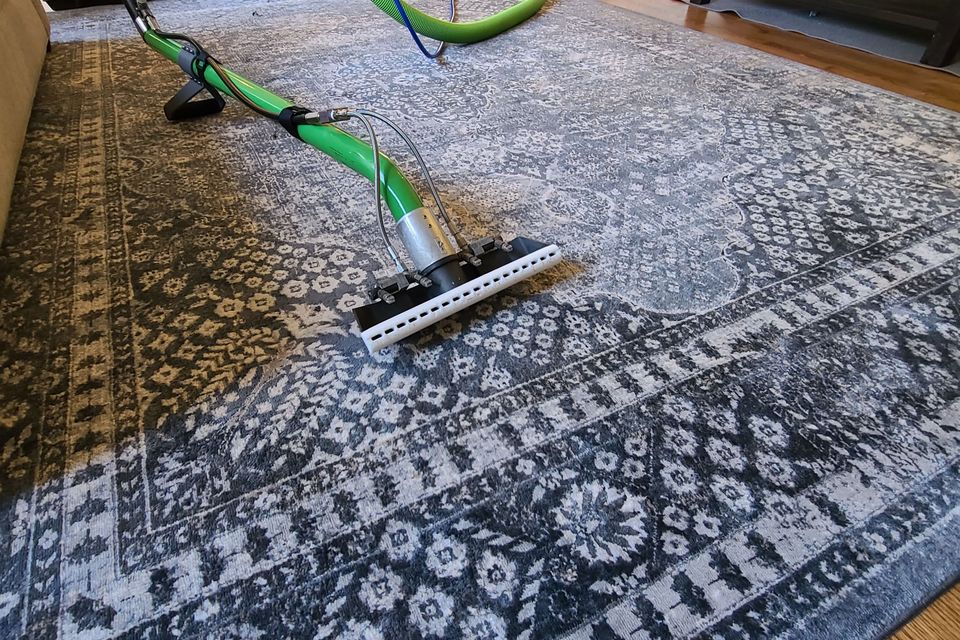 Professional carpet cleaner using extraction wand on patterned area rug with visible clean and dirty contrast