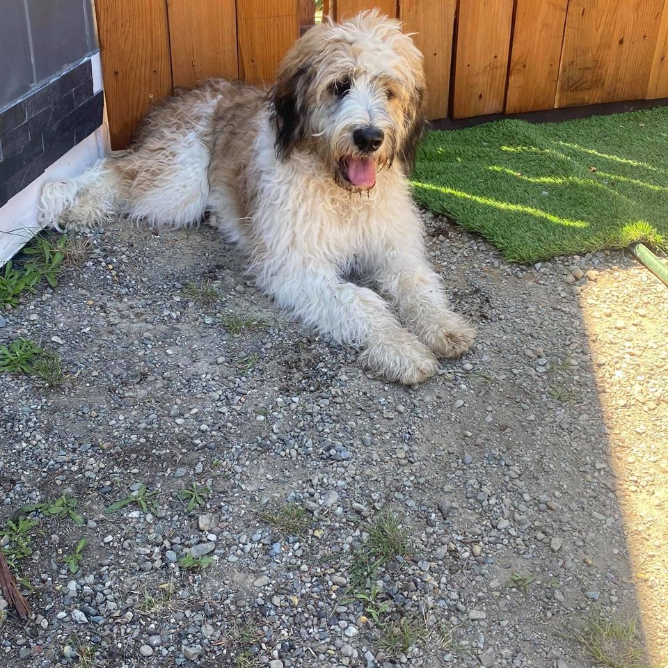 202530687 159470482901225 8295829012746266308 n