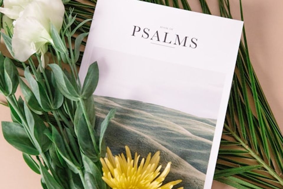 Photo 1576172850563 692ca88fc9ca