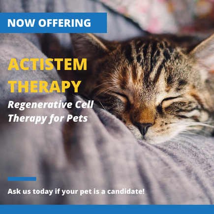 Actistem sm image.cat