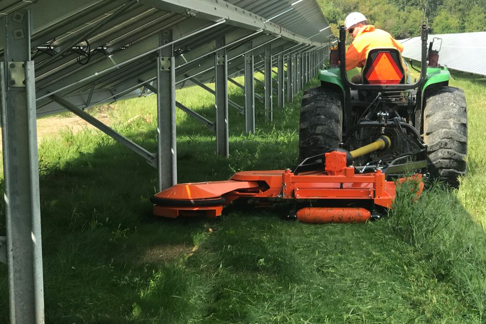 Main mowing photo