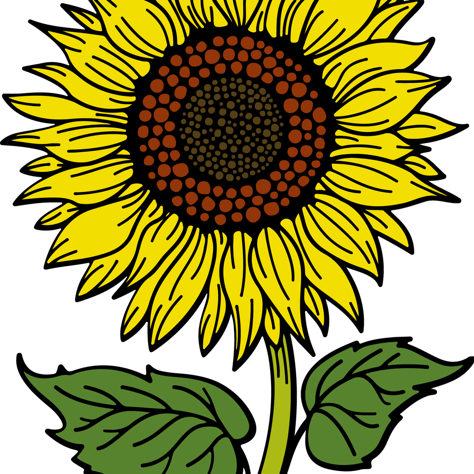 Seasons   fall sunflower png
