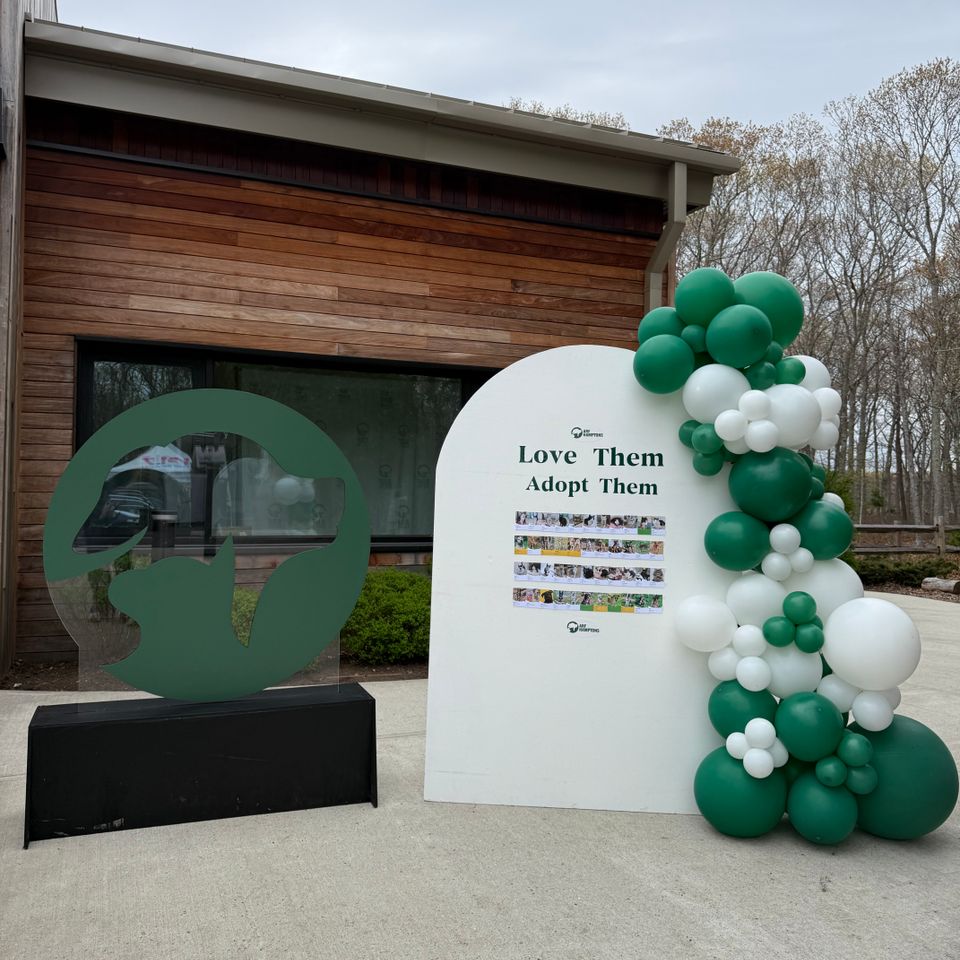 Green and white balloon decor framing a custom arched backdrop at a Hamptons NY charity event
