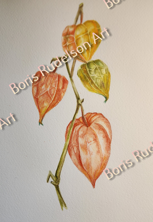 Chinese lantern