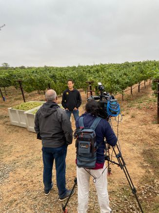 Livermore valley wine 5