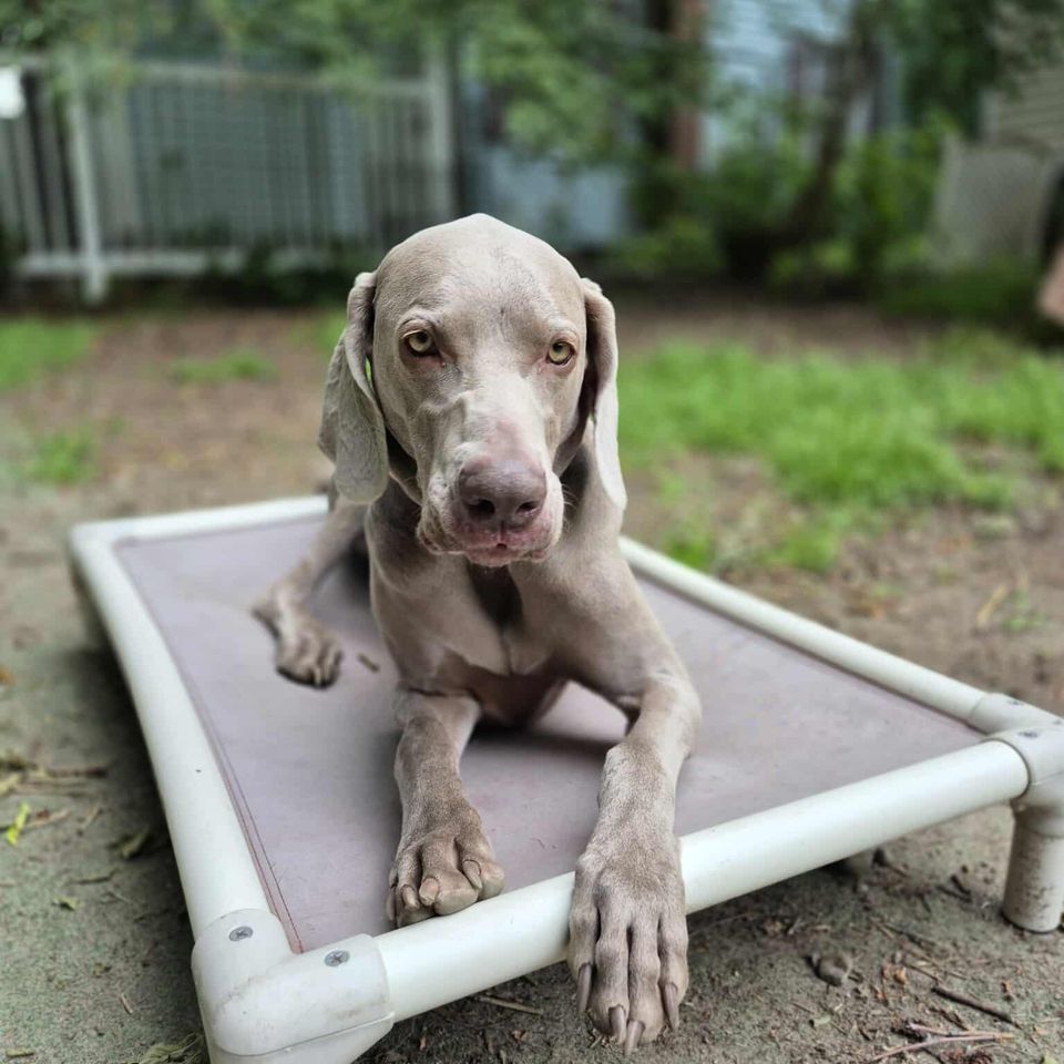 Received 1002538045292004