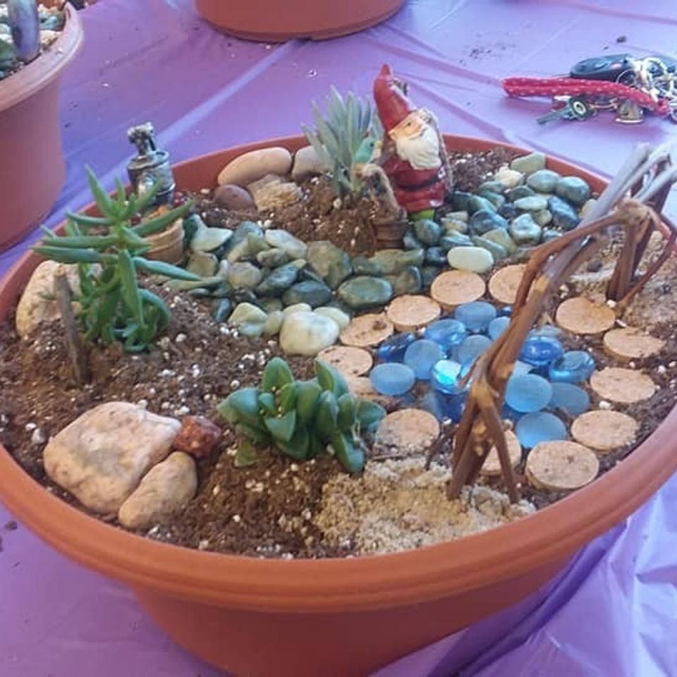 Fairy garden 1