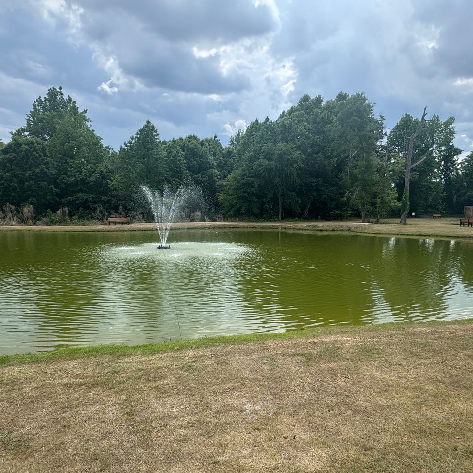 Img 0364