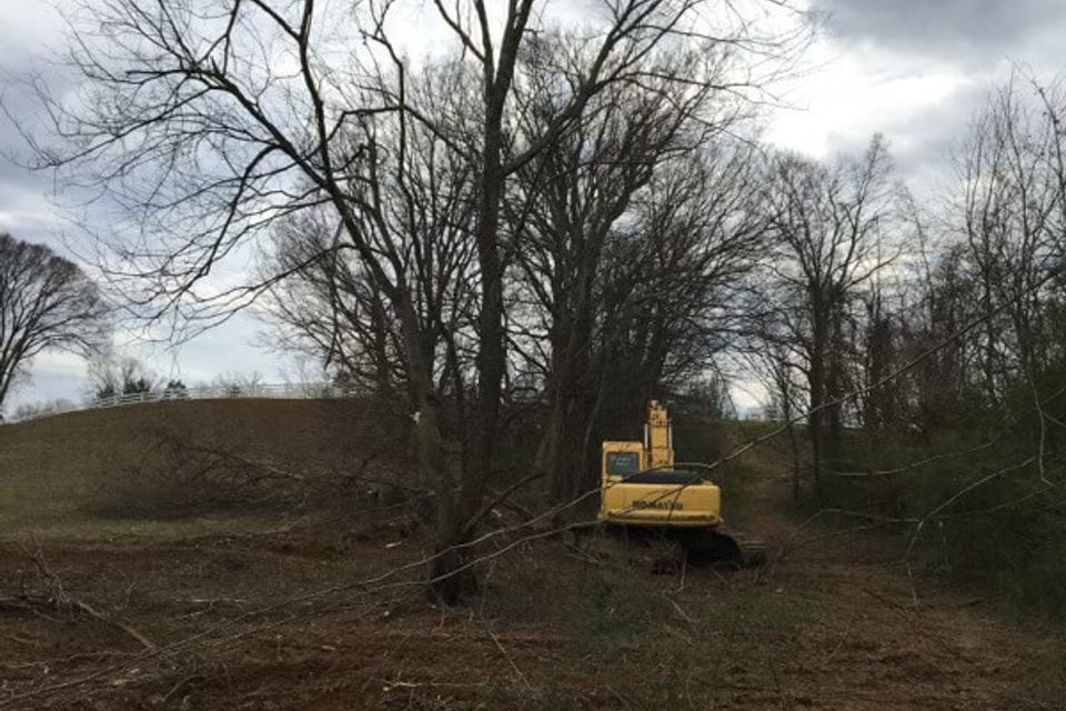 Gallery bush trucking 4