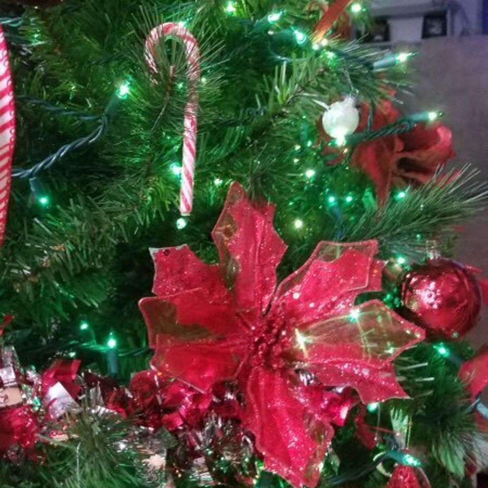 Resized 26 (1)