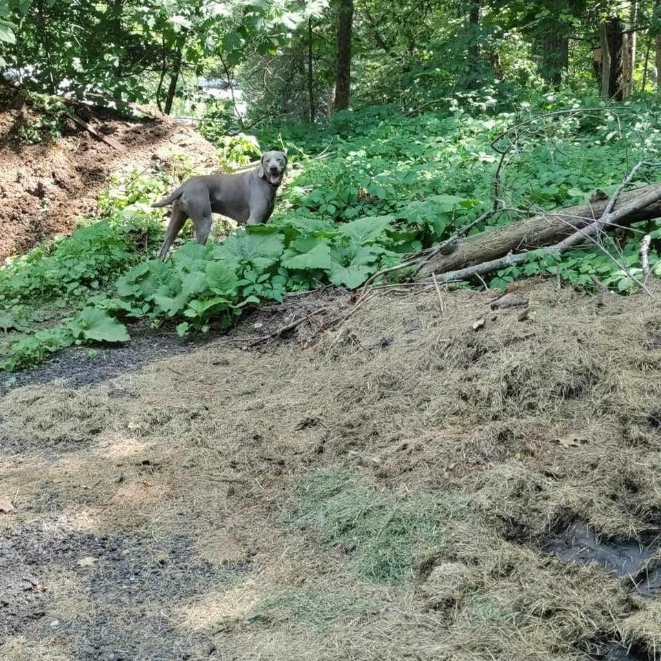 Fb img 1717758949891