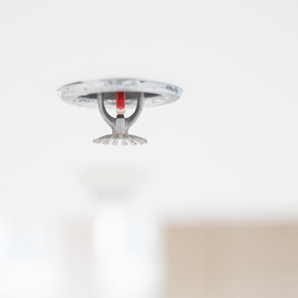 Sprinkler head