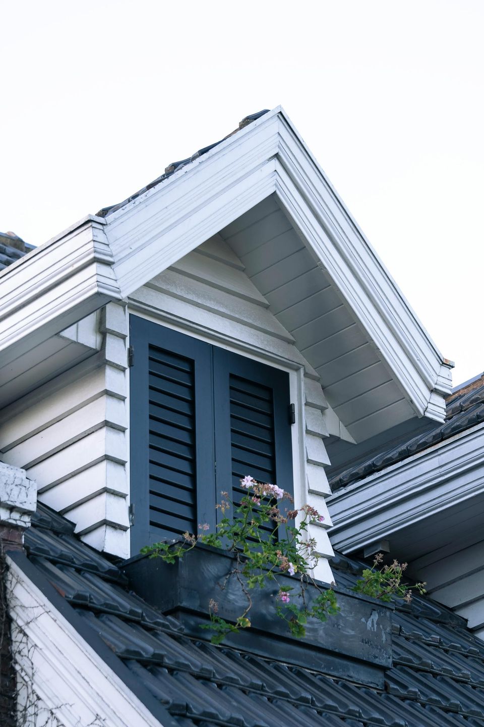 Pexels imperioame 10971733