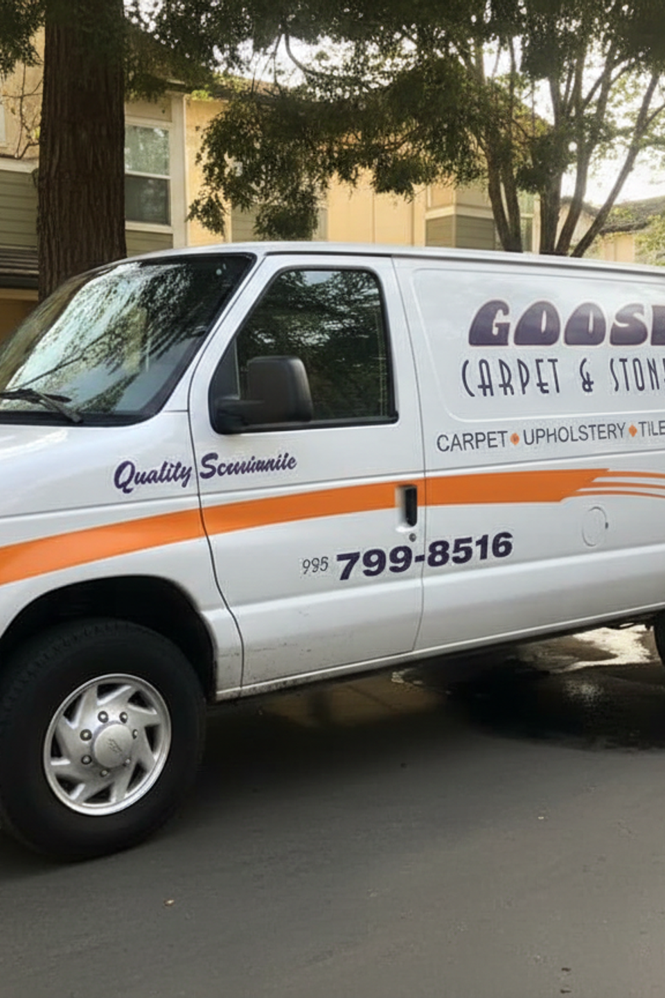 Goose’s Carpet & Stone Care service van parked on residential street with rear doors open and cleaning equipment visible