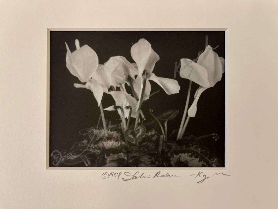 Cyclamen platinum print