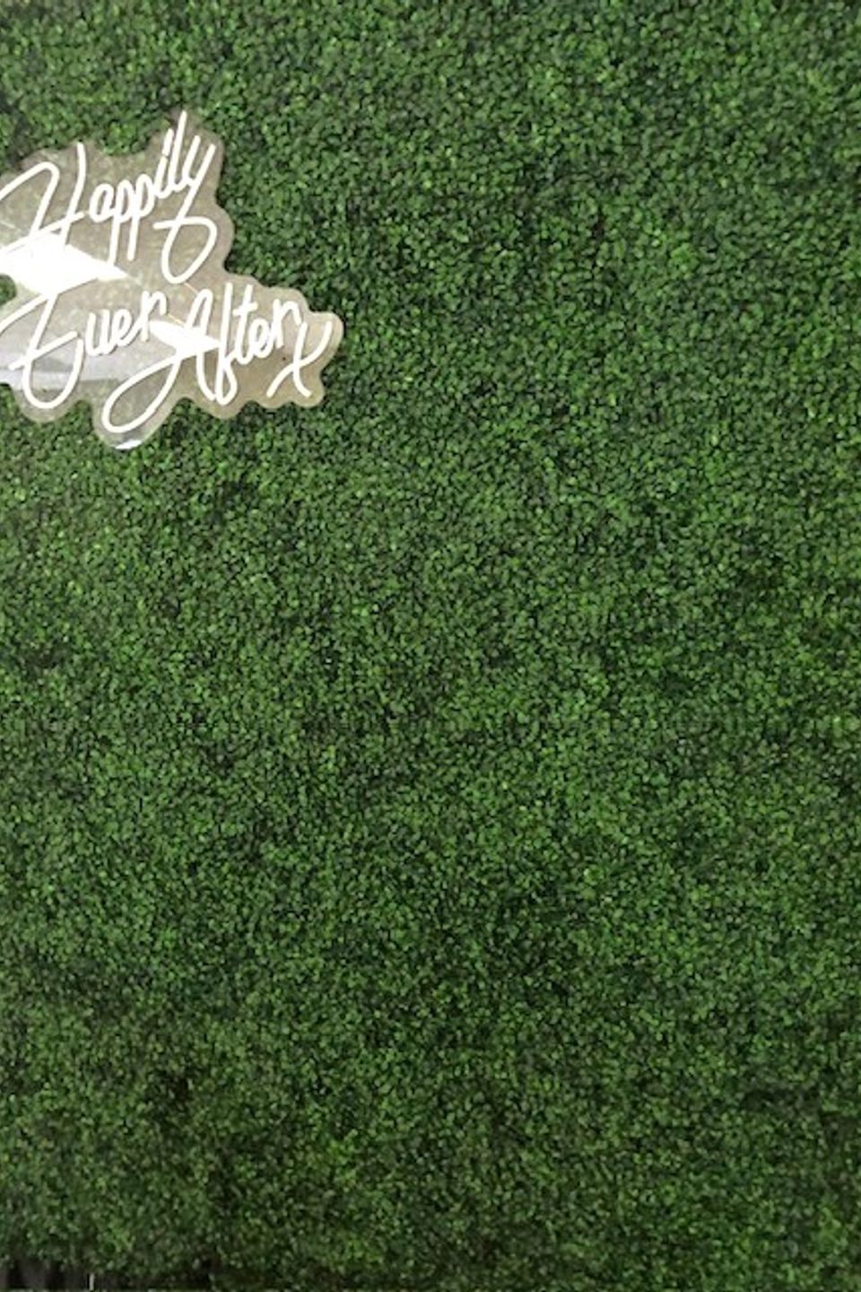 Boxwood 2