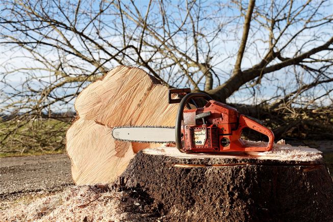 Chainsaw 52e8d44643 1920