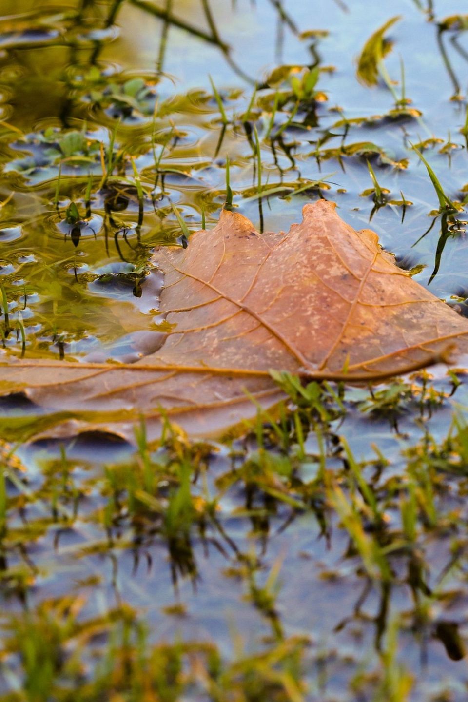 Puddle gece3b59cc 1920