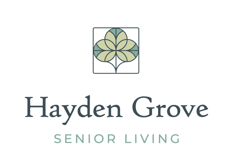 Hg primary logo (1)