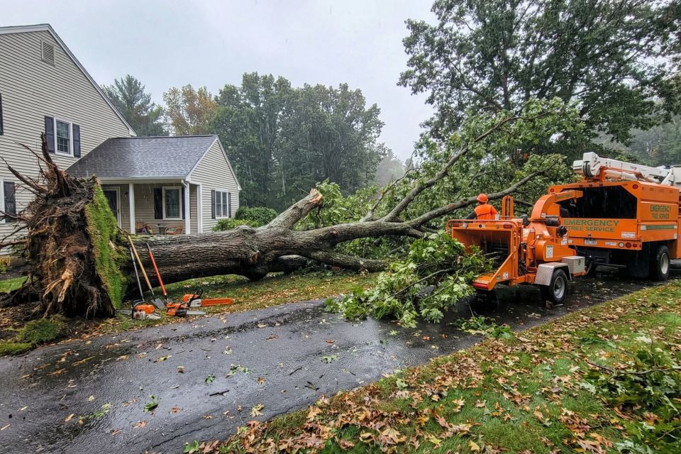 24 7 emergency tree service in middletown  ct
