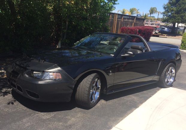 1998  mustang cobra   ron