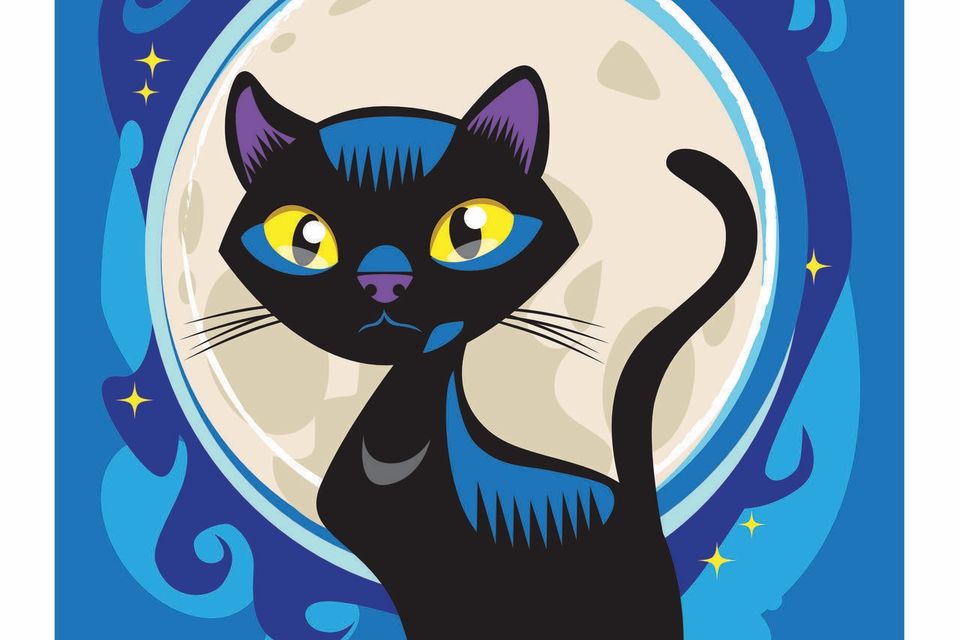 20221001 165132143 ios