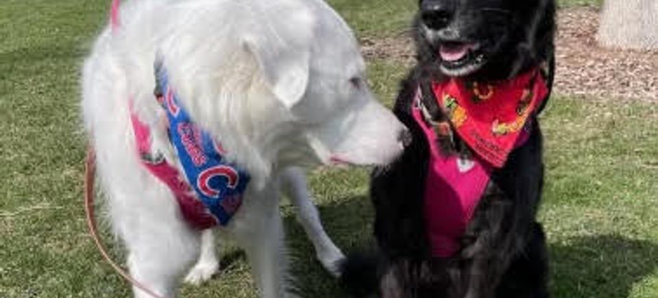 Friends with bandanna