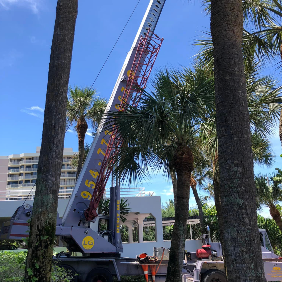 Lg crane service equipment