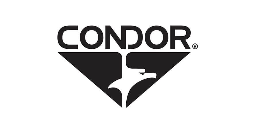 Silver condor logo 1