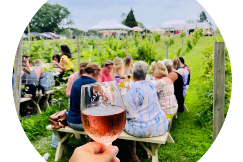 people sitting at picnic tables, surrounded by a vineyard, with a glass of Rose raised