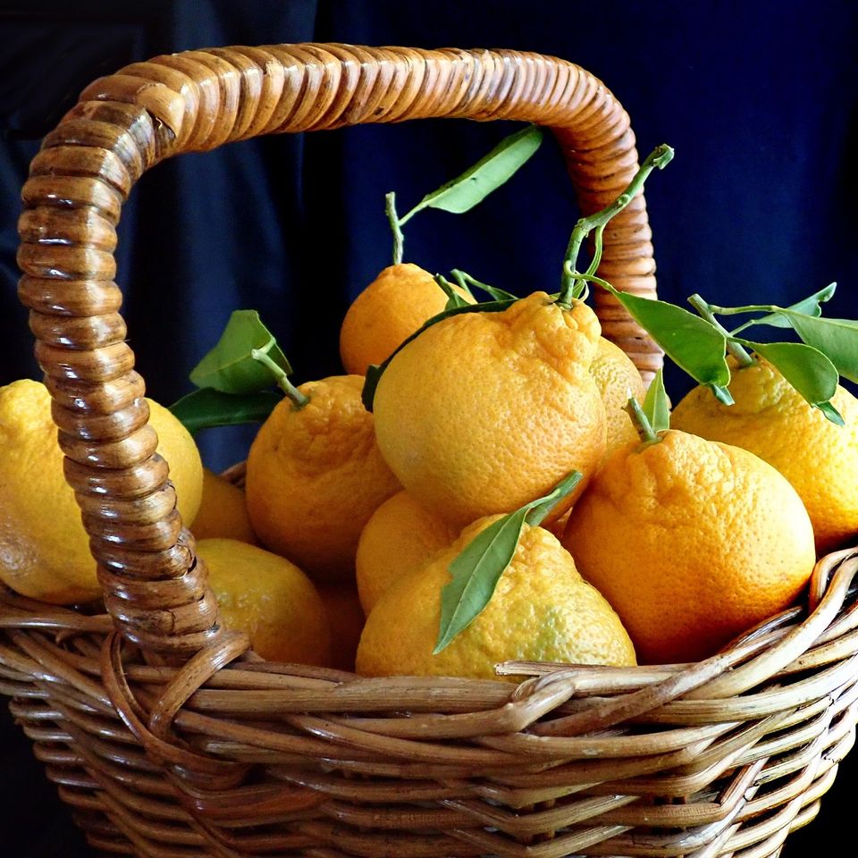 Fruit gc241239f3 1920