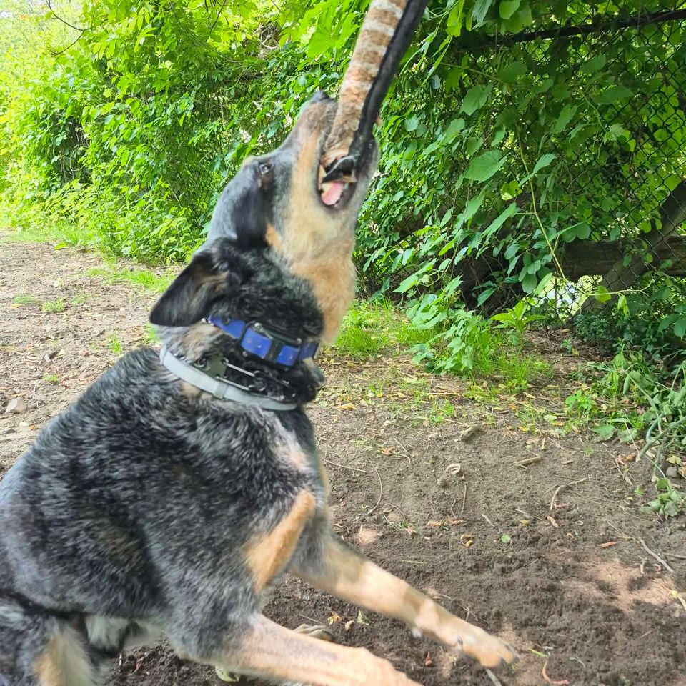 Messenger creation 08a15512 60fb 4113 9cd7 3c4707dc23bd