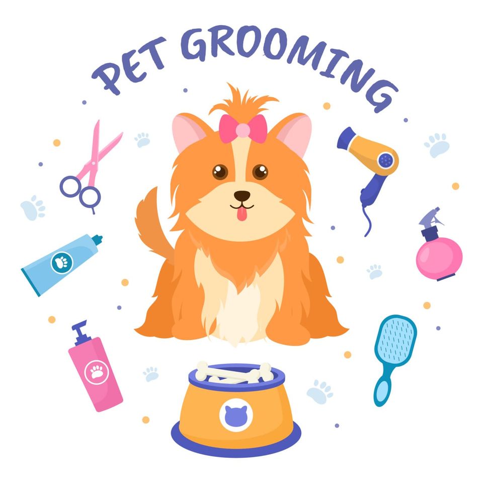 Pet grooming for dogs and cats in flat cartoon hand drawn 5447165
