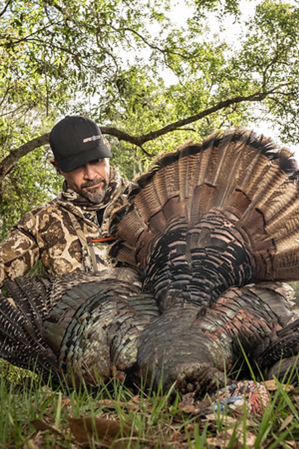 Bb1b6070 b702 43d3 9014 f762d03b4a05