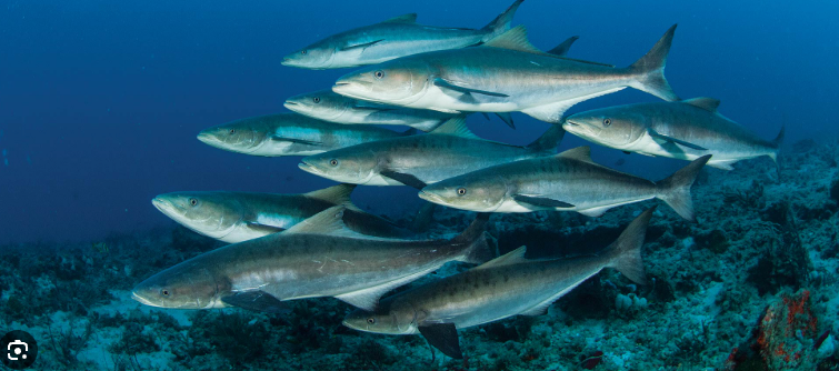 Screenshot 2026 02 24 at 10.26.21 am