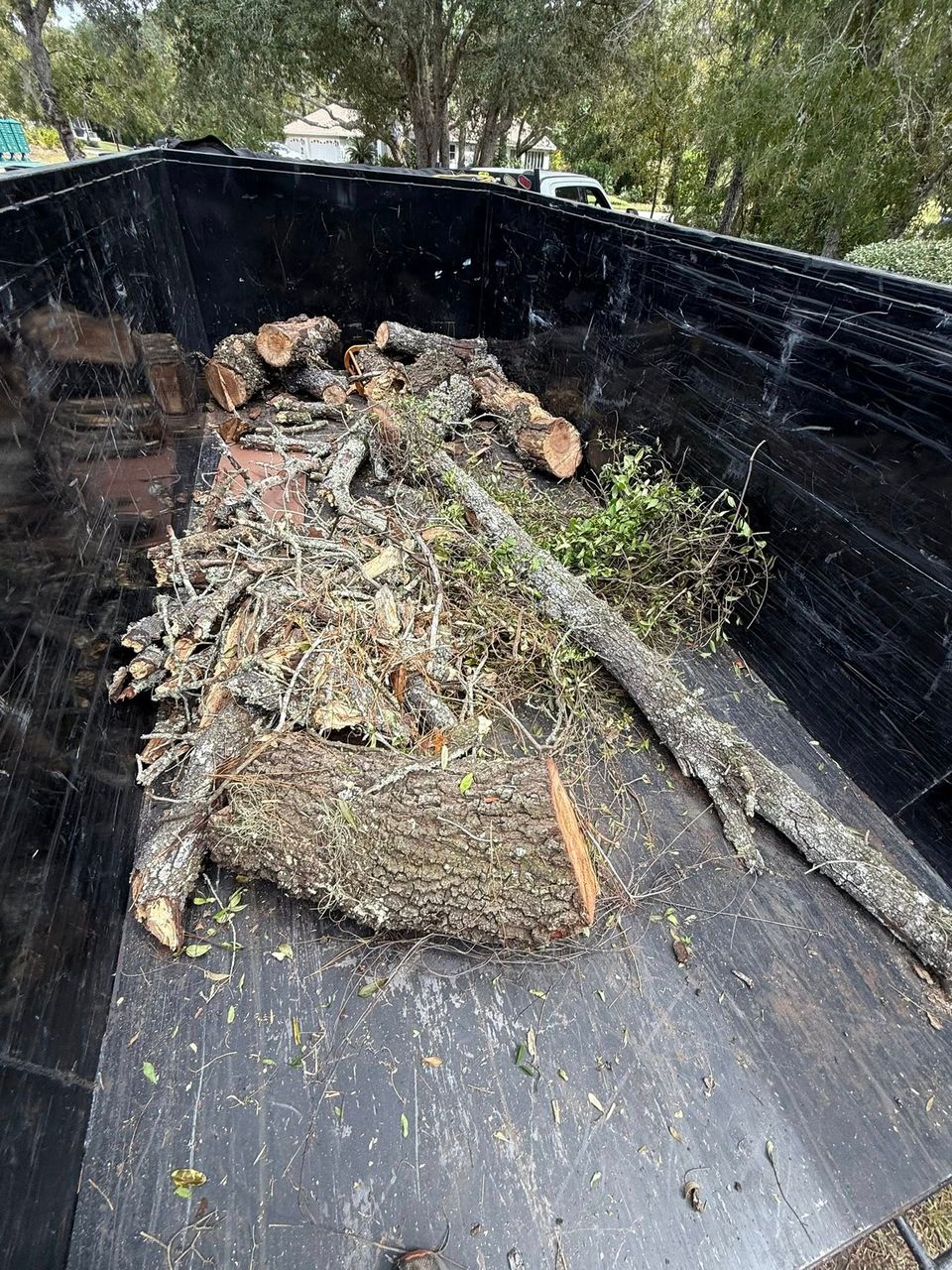 Tree branches in the back of the JNJ Hauling Solutions truck ready for removal