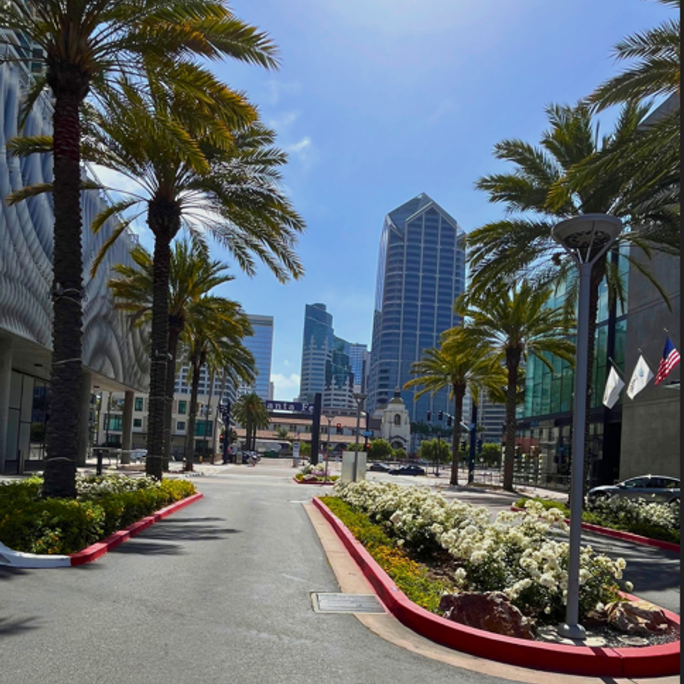 Screenshot 2026 01 22 050257