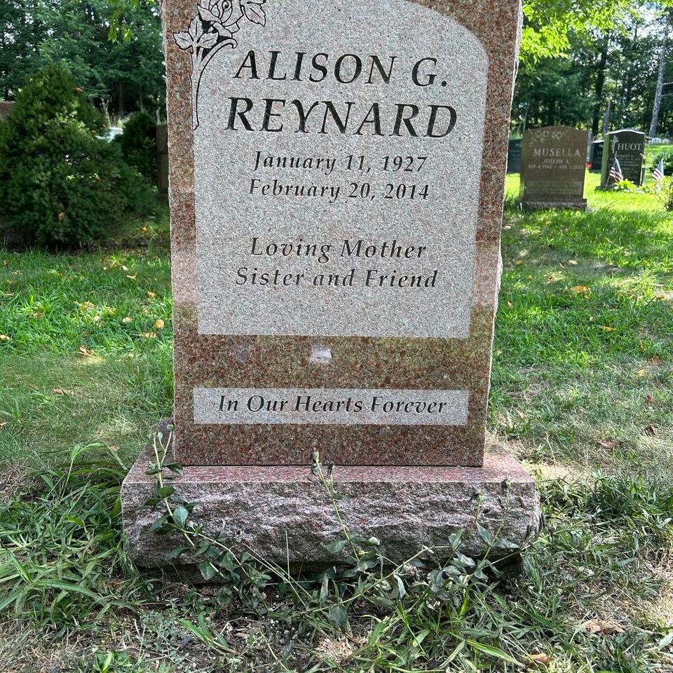 Front of stone washed reynard