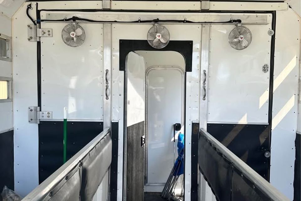 590176086 25966576642944906 6618808420154975898 n