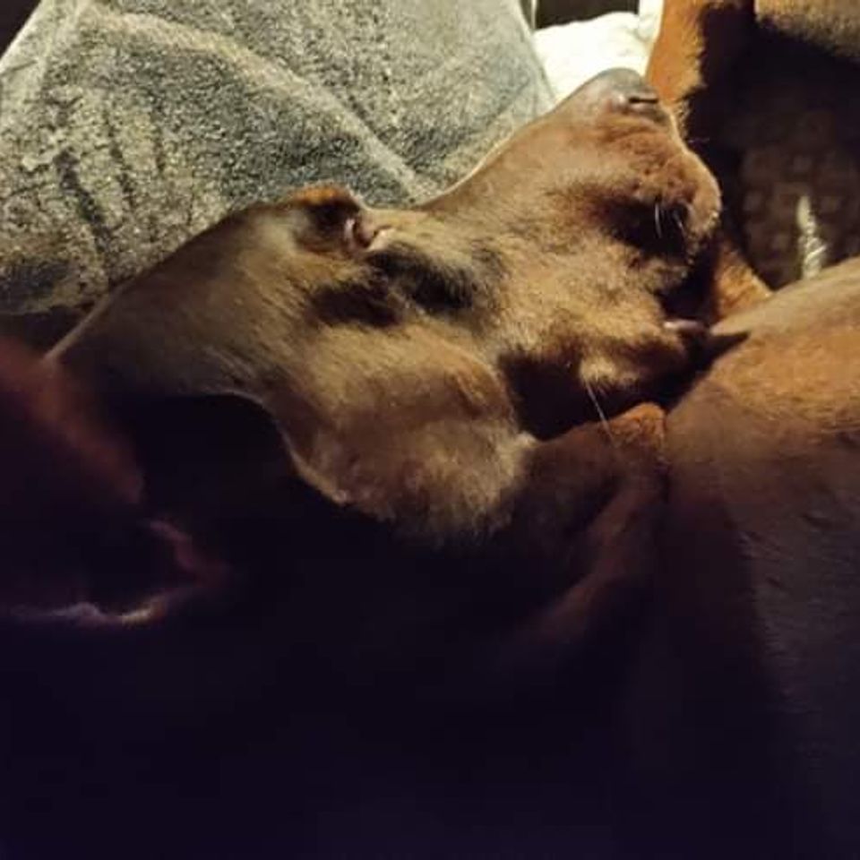 Img 20240125 151036 445