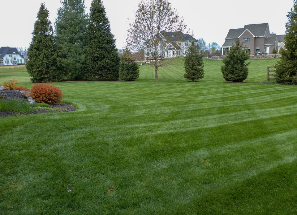 Screen shot 2023 02 08 at 12.46.05 pm