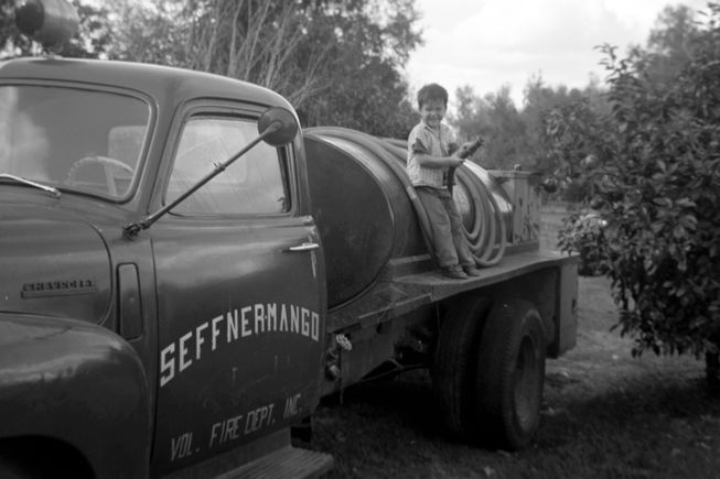 Seffner mango vfd bradley price