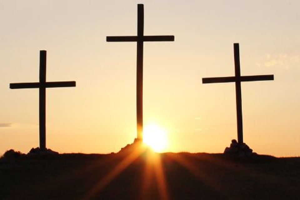 Brown and white minimalist illustrative greeting easter facebook post (facebook cover)