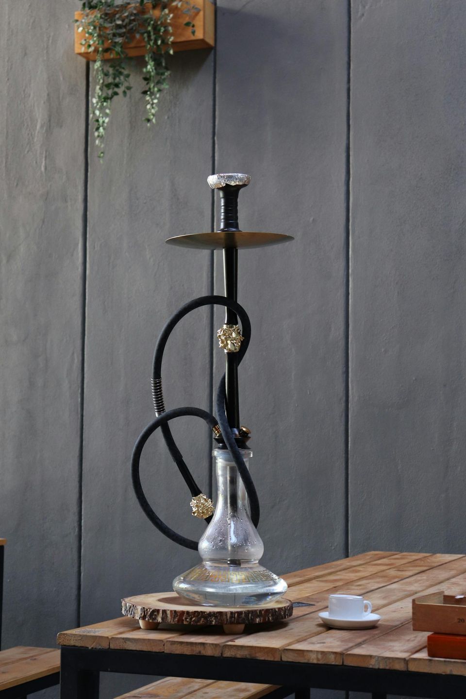 Pexels cesar 135942527 10233555