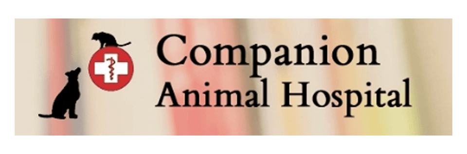 Logo6